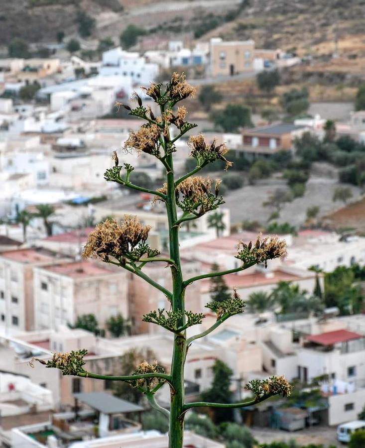 Nijar Bella Y Su Parque Natural Cabo De Gata Экстерьер фото